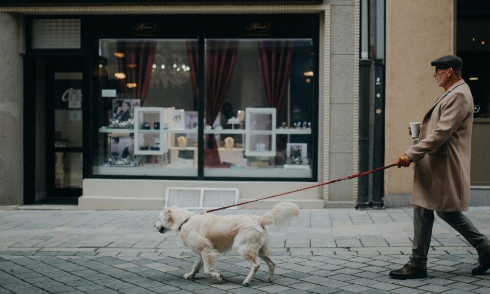 dog-walking-tips-in-large-cities-–-a-full-guide